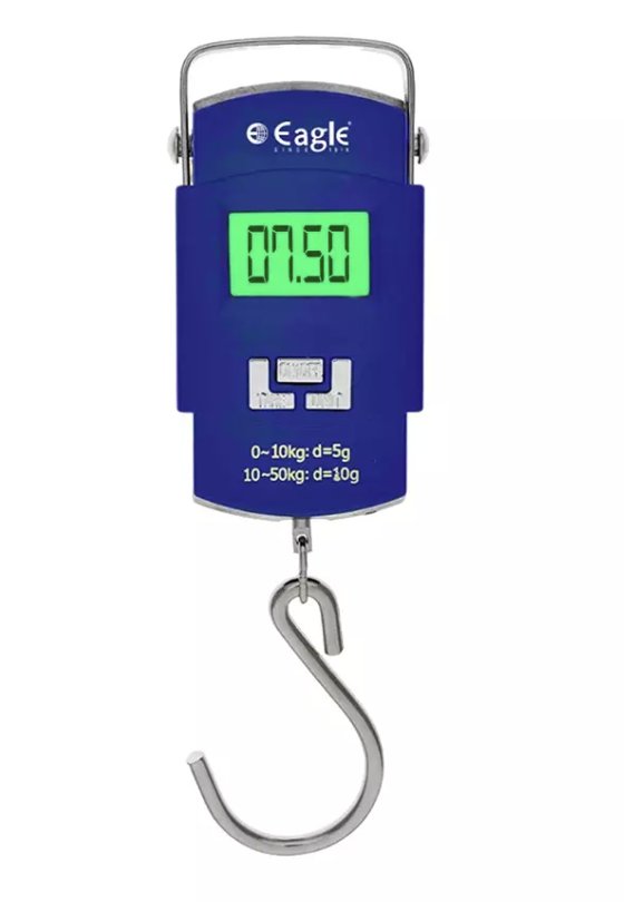 Dial and spring hanging scale